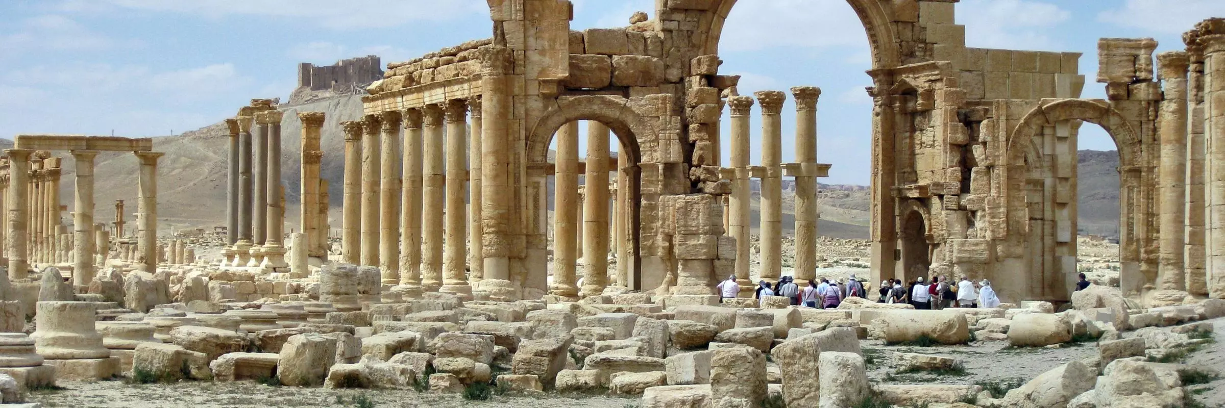 palmyra manar