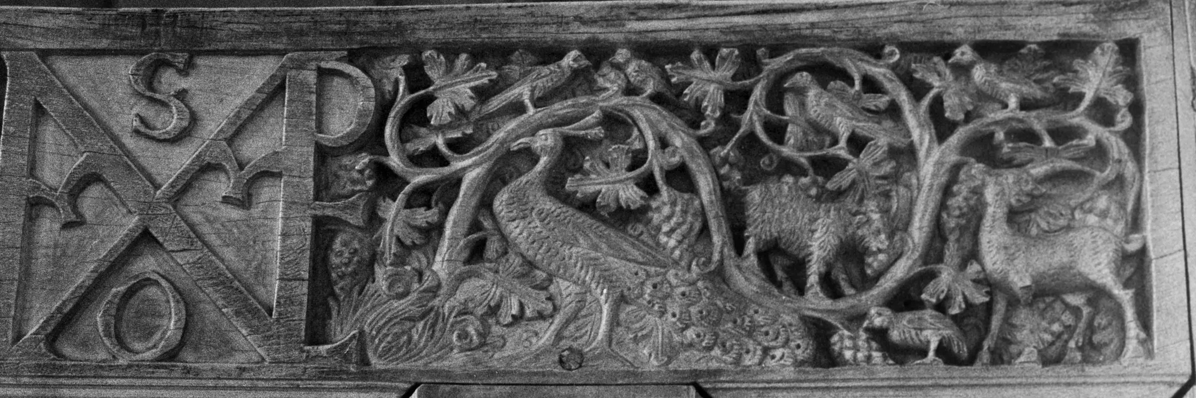 ravenna trhone manar
